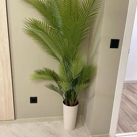 Kristin's Daire Burgaz